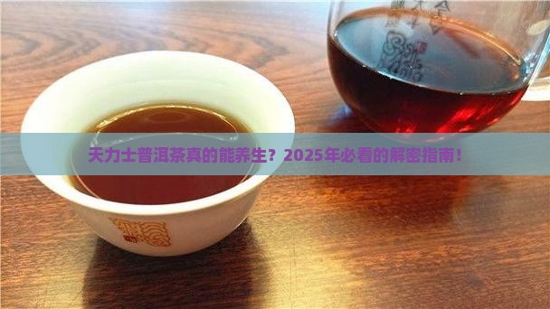 天力士普洱茶功效是什么