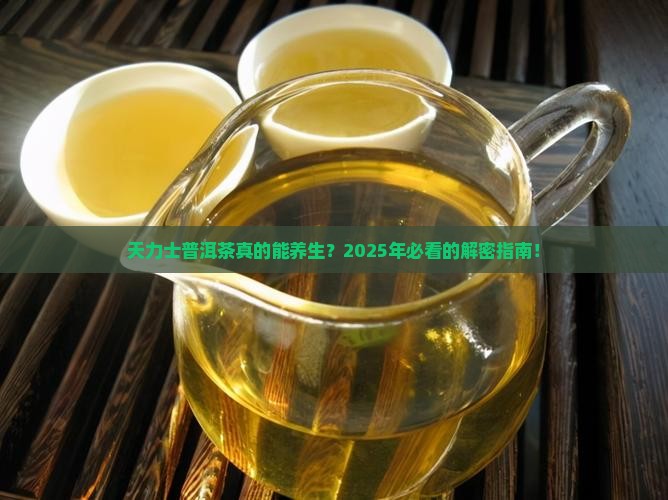 天力士普洱茶功效是什么