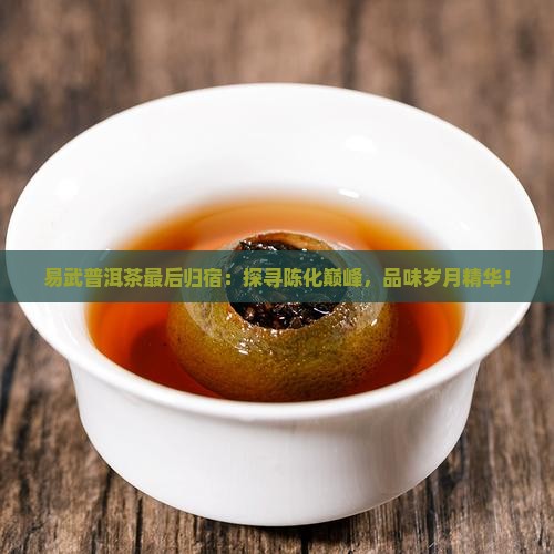 易武普洱茶最后归宿