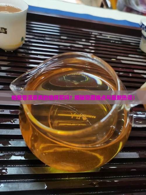 帕笼普洱茶特点