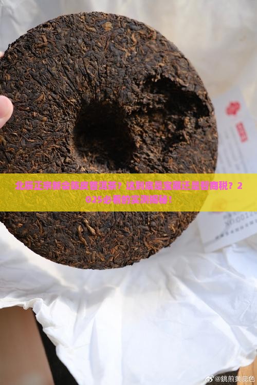 北辰正宗新会陈皮普洱茶