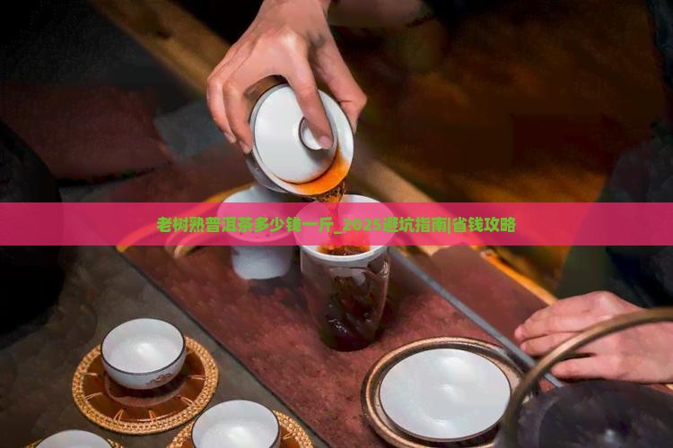 老树熟普洱茶多少钱一斤