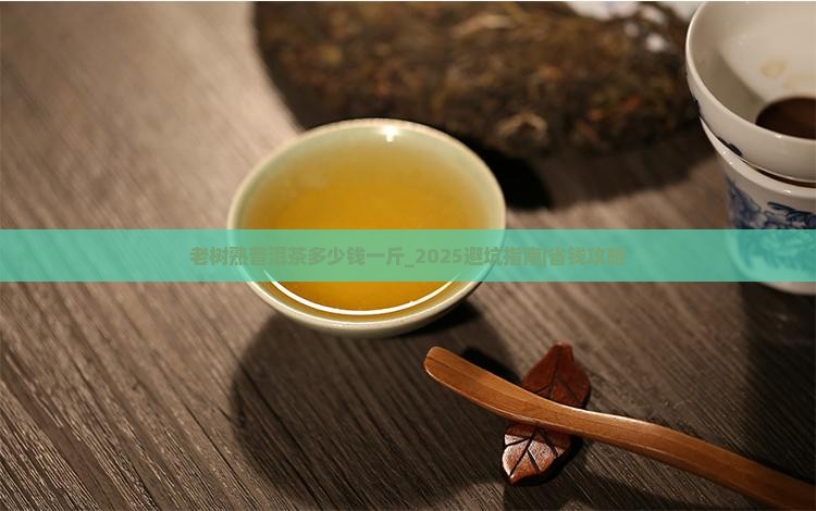老树熟普洱茶多少钱一斤