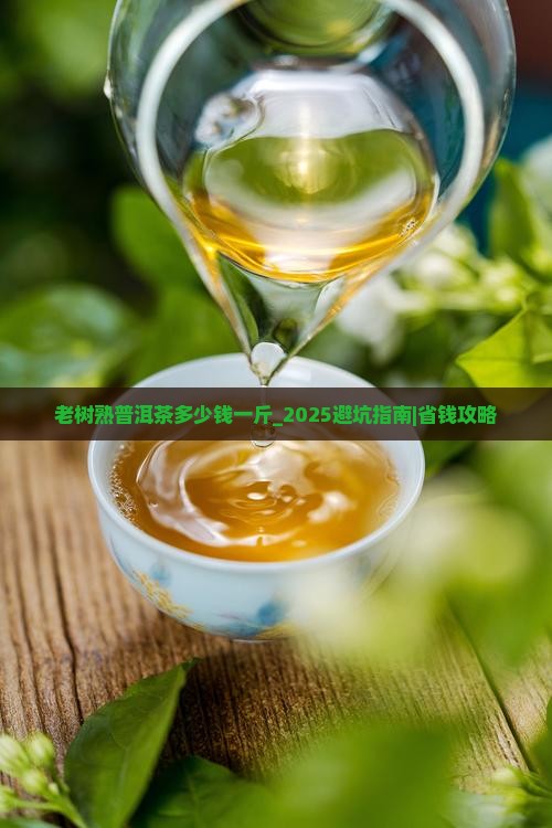 老树熟普洱茶多少钱一斤
