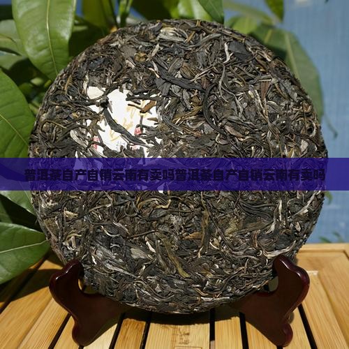 普洱茶自产自销云南有卖吗