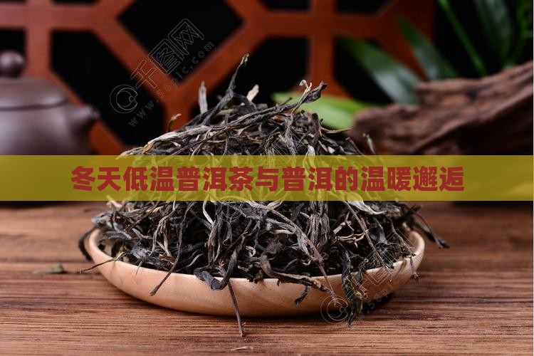 冬天低温普洱茶