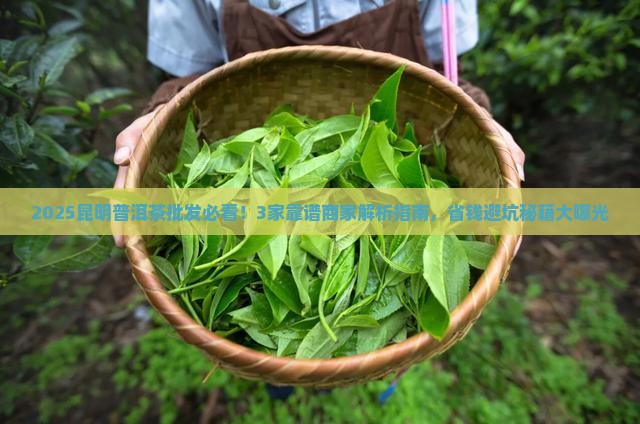 昆明普洱茶批发推荐哪家