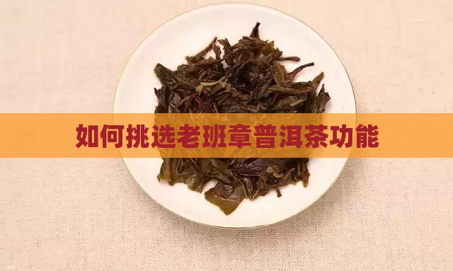 怎么挑选老班章功能