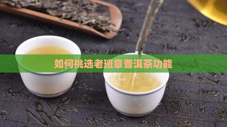 怎么挑选老班章功能