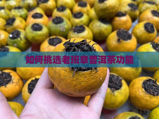 怎么挑选老班章功能