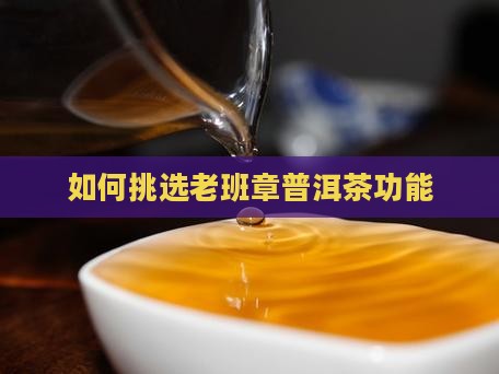 怎么挑选老班章功能