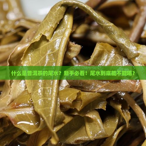 什么是普洱茶的尾水