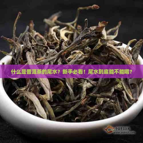 什么是普洱茶的尾水