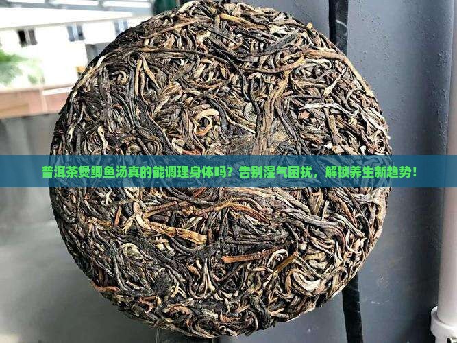 普洱茶煲鲫鱼汤的功效和作用