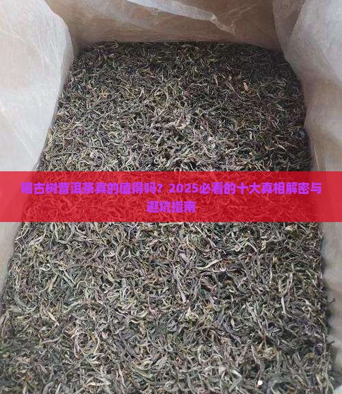 喝古树普洱茶的十大好处和坏处