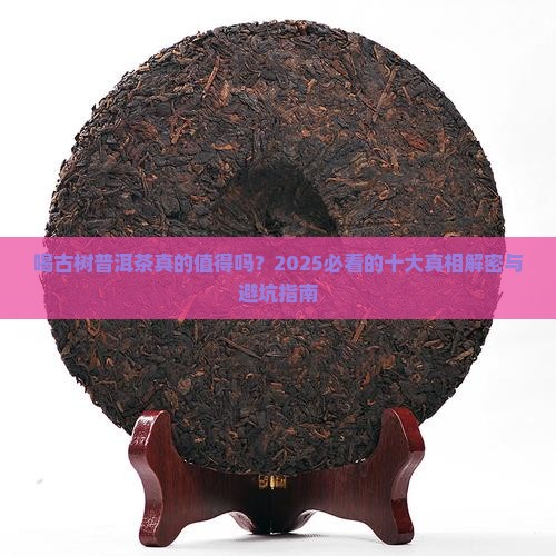 喝古树普洱茶的十大好处和坏处