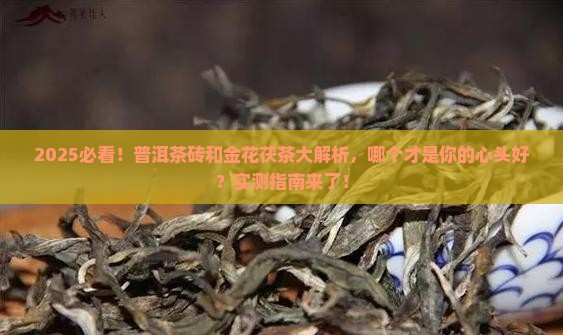 普洱茶砖和金花茯茶哪个好