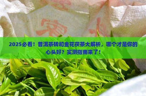 普洱茶砖和金花茯茶哪个好