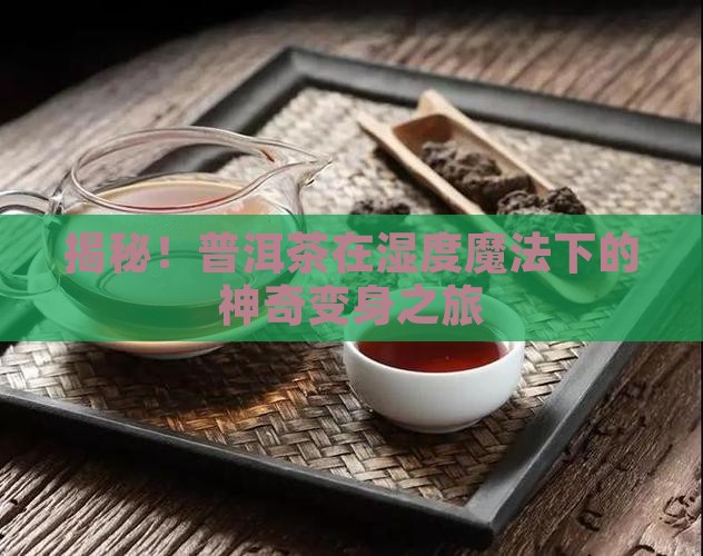 普洱茶湿度转化