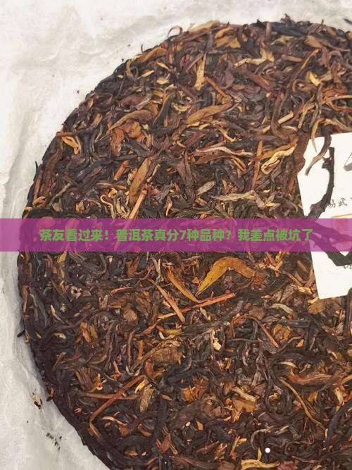 普洱茶分几种品种 普洱茶分几种品种