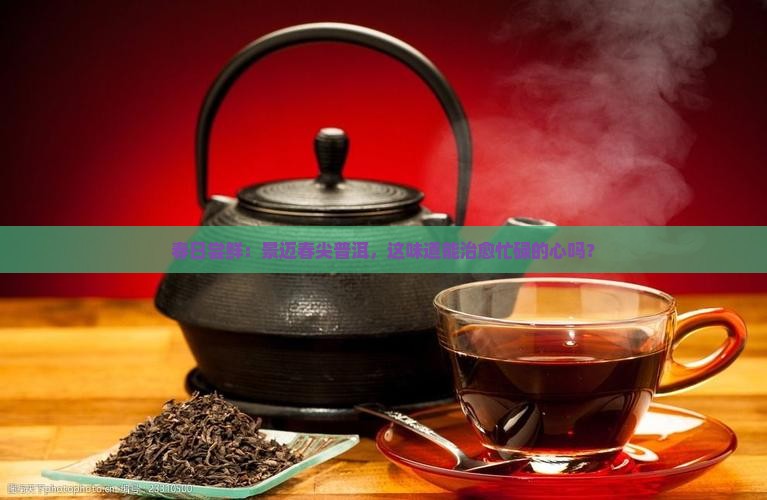 景迈春尖普洱茶怎样
