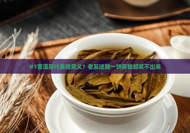普洱茶代表什么意义