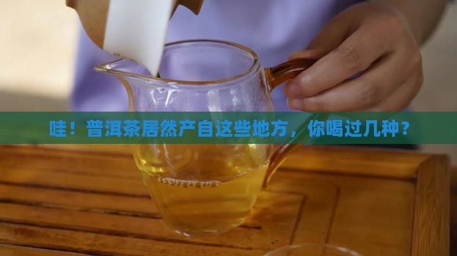 普洱茶都有那些地方产