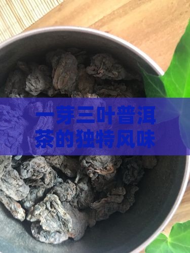 一芽三叶普洱茶味道