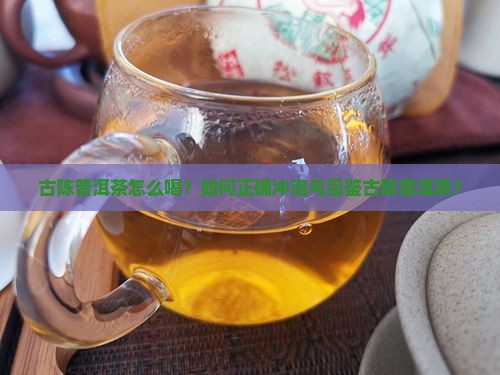 古陈普洱茶怎么喝