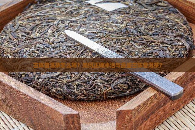 古陈普洱茶怎么喝