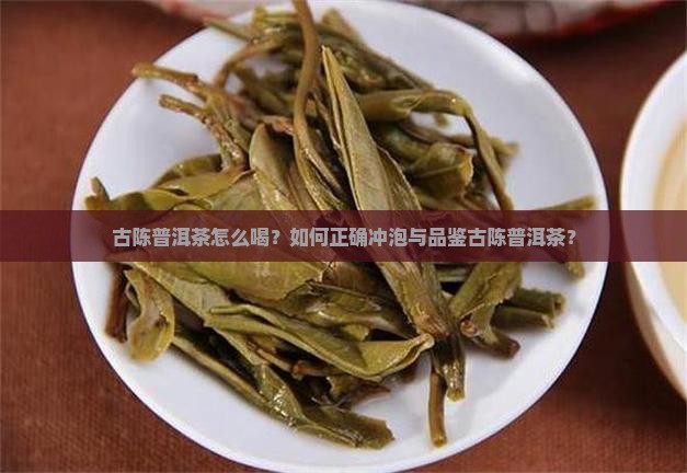 古陈普洱茶怎么喝