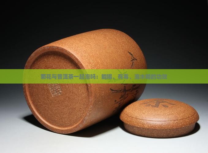 菊花与普洱茶一起泡吗