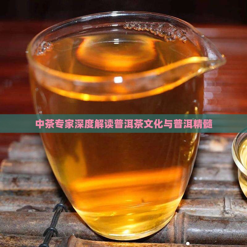 中茶所讲普洱茶