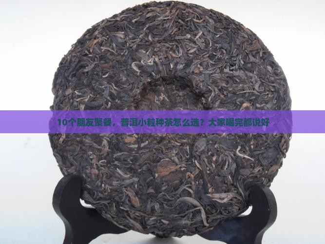 普洱种类小粒的