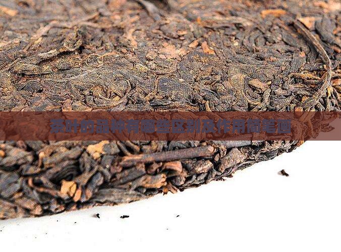 茶叶的品种有哪些