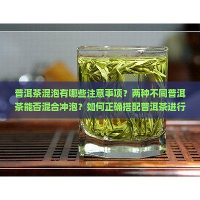 两种普洱茶可以一起混泡吗