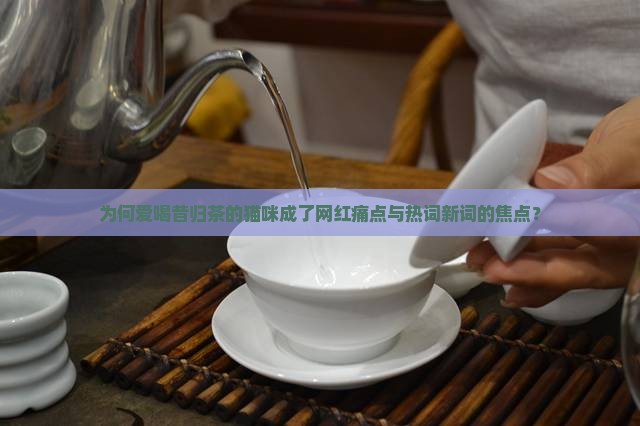 爱喝昔归茶的猫咪