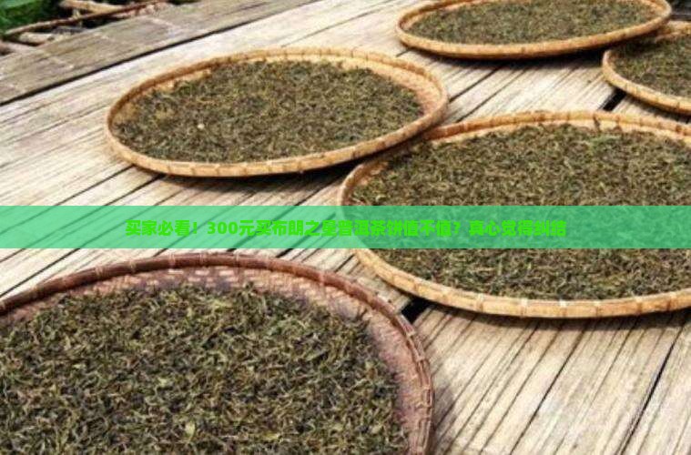 布朗之星普洱茶饼价格