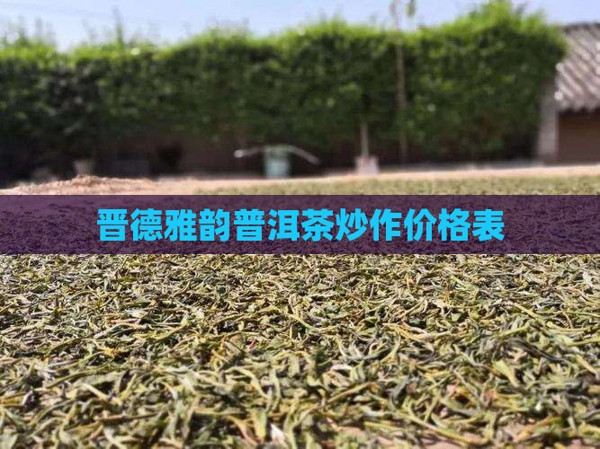 晋德雅韵普洱茶炒作