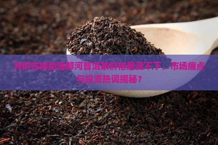 古树勐海郎河普洱茶价格