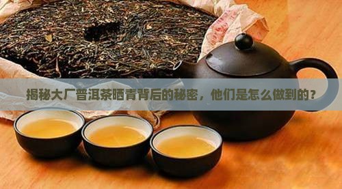 大厂普洱茶如何晒青