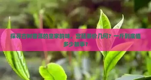古树宫廷普洱茶多少钱一斤