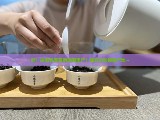 冰岛普洱茶出产地