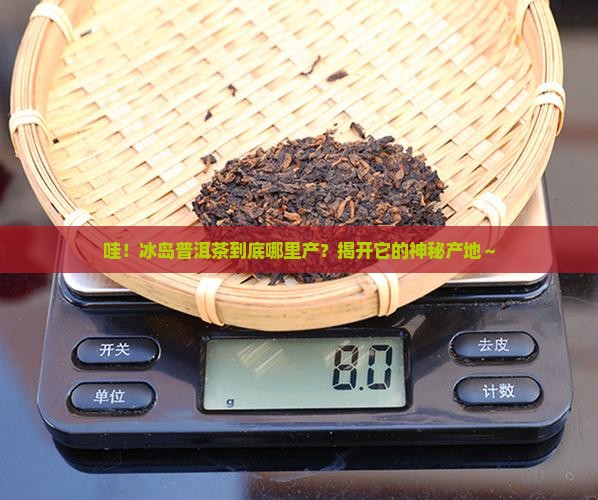 冰岛普洱茶出产地