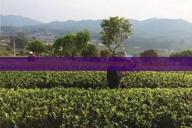 普洱茶与山楂片