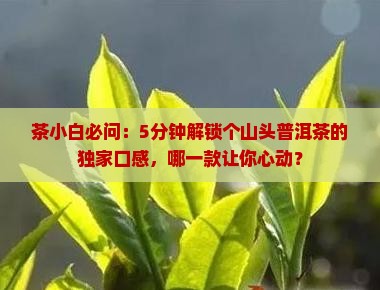 个山头普洱茶的口感特色