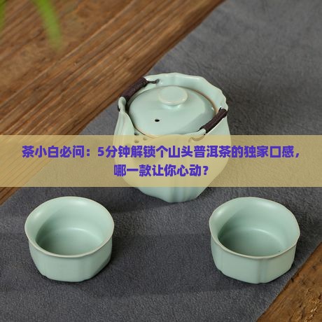 个山头普洱茶的口感特色