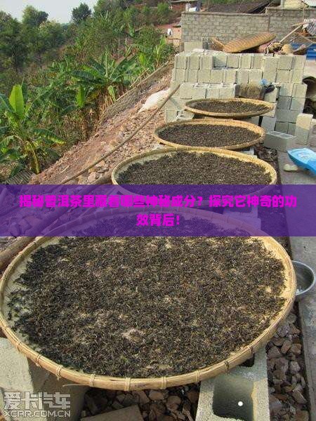 普洱茶成分以及作用与功效