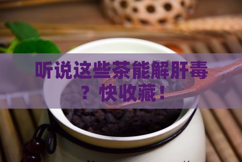 解肝毒的茶有哪些