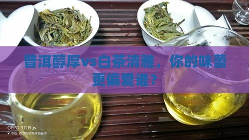 白茶好喝还是普洱茶